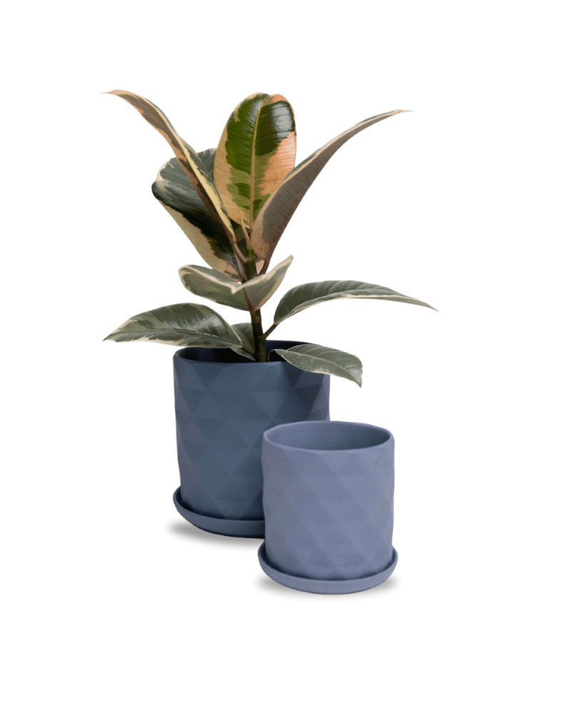 Virago 5" Porcelain Pot With Drainage Hole And Saucer - Chive Ceramics Studio - Pots - Chive Ceramics Studio