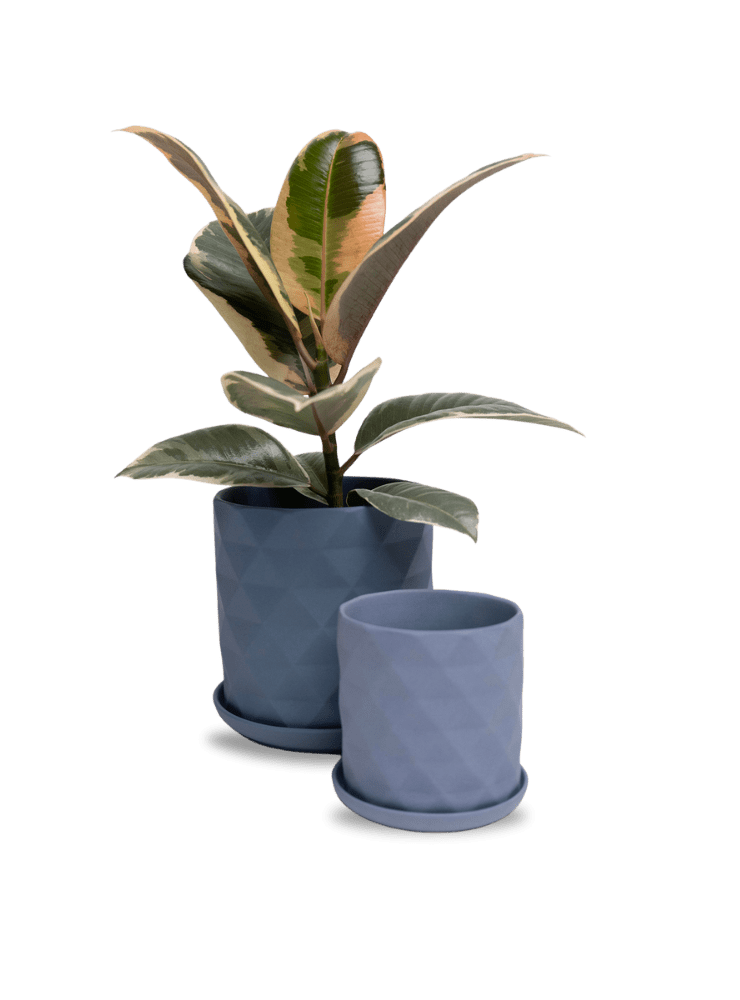 Virago 5" Porcelain Pot With Drainage Hole And Saucer - Chive Ceramics Studio - Pots - Chive Ceramics Studio