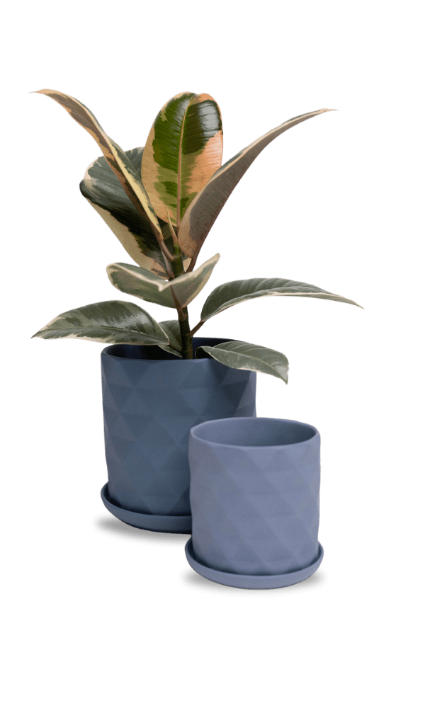 Virago 5" Porcelain Pot With Drainage Hole And Saucer - Chive Ceramics Studio - Pots - Chive Ceramics Studio