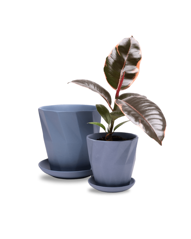 Virago 5" Porcelain Pot With Drainage Hole And Saucer - Chive Ceramics Studio - Pots - Chive Ceramics Studio