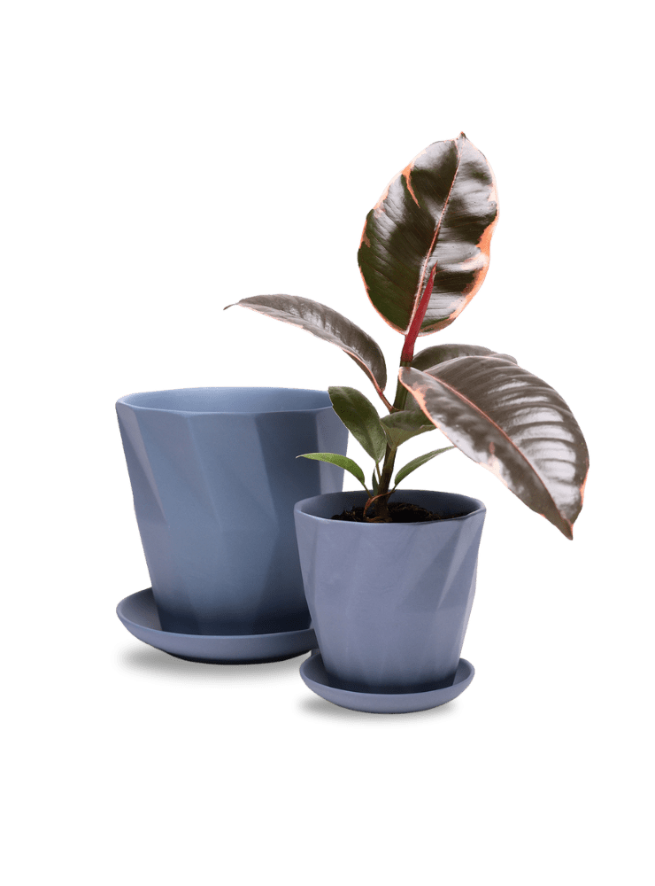 Virago 5" Porcelain Pot With Drainage Hole And Saucer - Chive Ceramics Studio - Pots - Chive Ceramics Studio