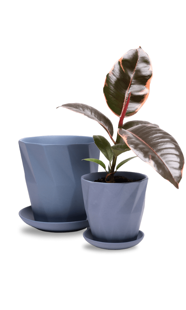 Virago 5" Porcelain Pot With Drainage Hole And Saucer - Chive Ceramics Studio - Pots - Chive Ceramics Studio