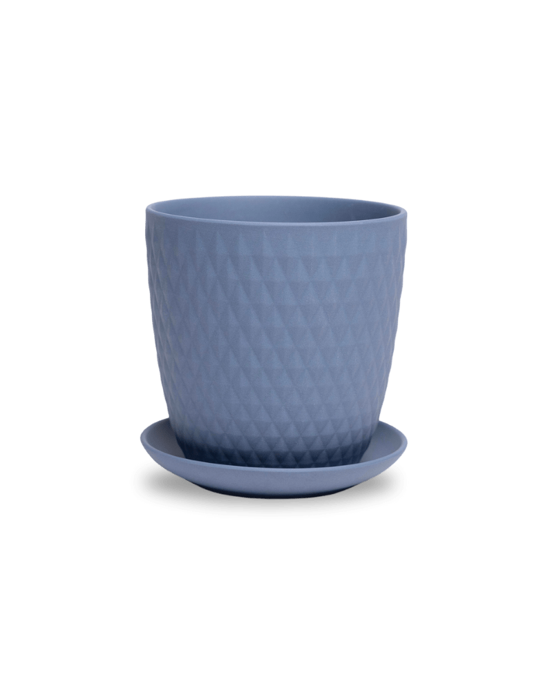 Virago 5" Porcelain Pot With Drainage Hole And Saucer - Chive Ceramics Studio - Pots - Chive Ceramics Studio