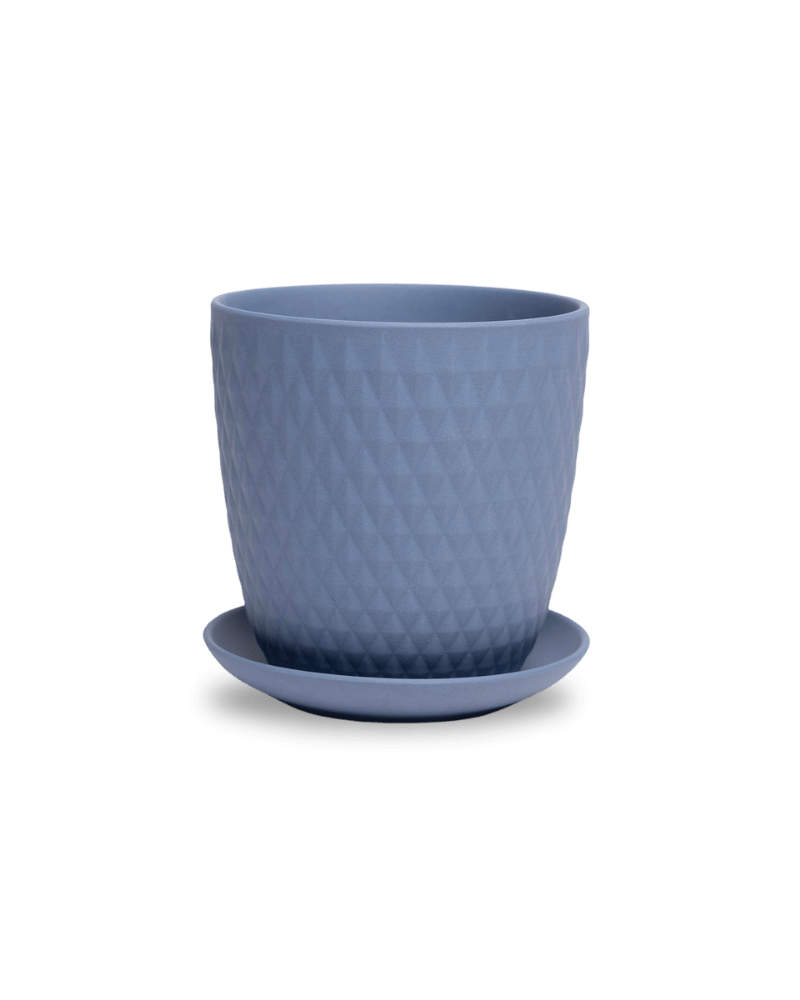 Virago 5" Porcelain Pot With Drainage Hole And Saucer - Chive Ceramics Studio - Pots - Chive Ceramics Studio