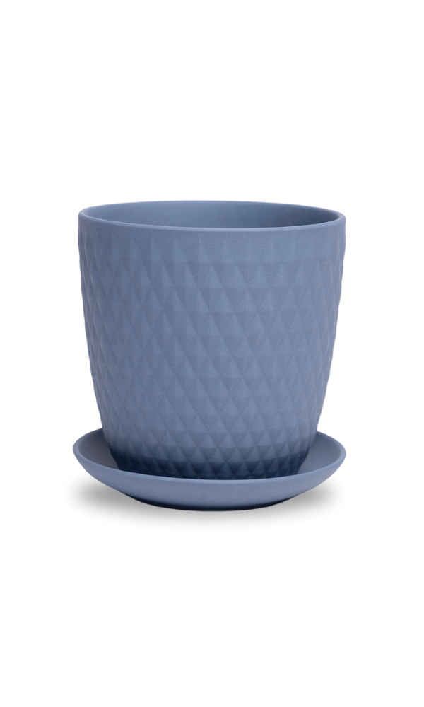 Virago 5" Porcelain Pot With Drainage Hole And Saucer - Chive Ceramics Studio - Pots - Chive Ceramics Studio