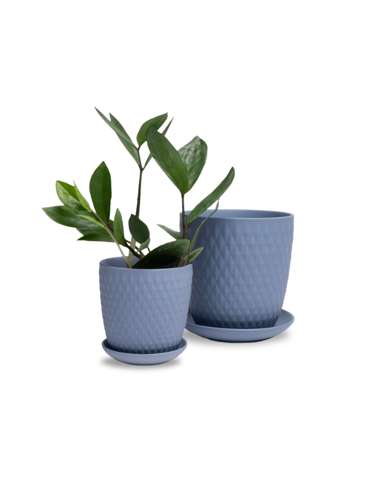 Virago 5" Porcelain Pot With Drainage Hole And Saucer - Chive Ceramics Studio - Pots - Chive Ceramics Studio