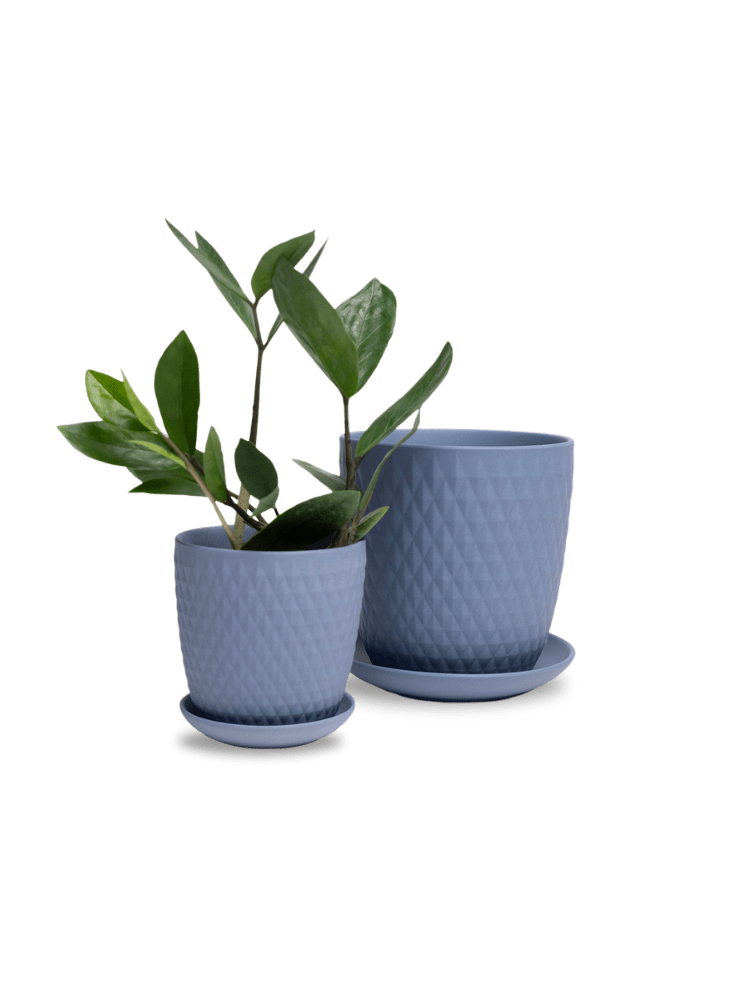 Virago 5" Porcelain Pot With Drainage Hole And Saucer - Chive Ceramics Studio - Pots - Chive Ceramics Studio