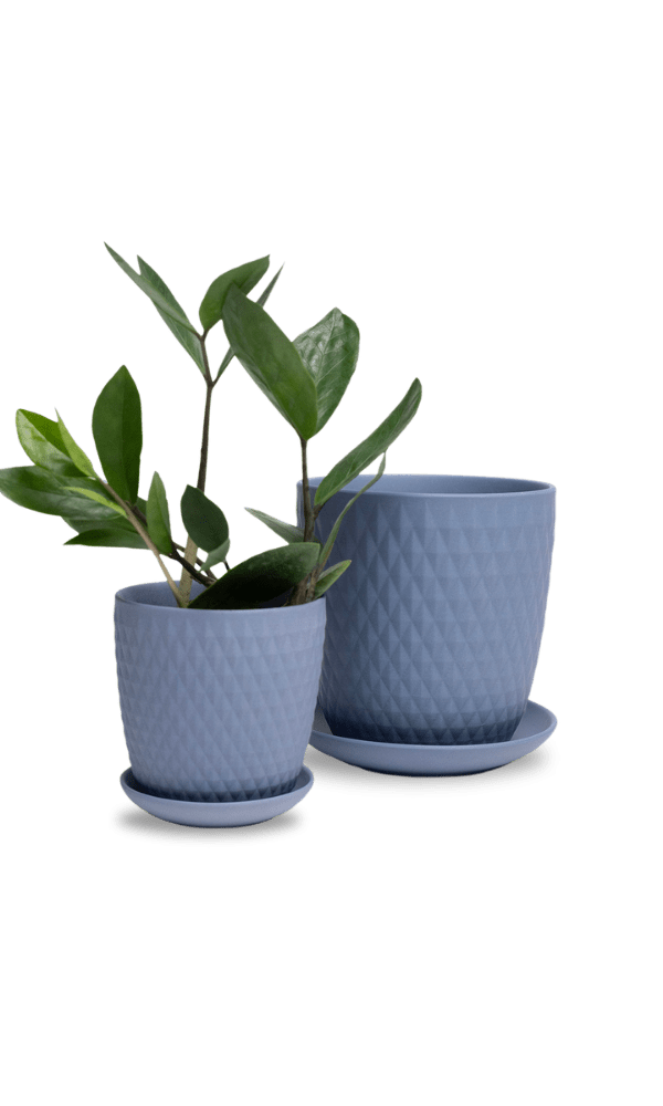 Virago 5" Porcelain Pot With Drainage Hole And Saucer - Chive Ceramics Studio - Pots - Chive Ceramics Studio