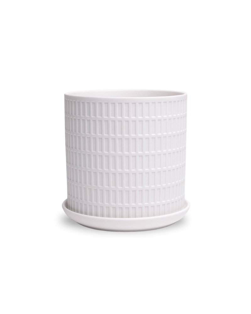 Virago 5" Porcelain Pot With Drainage Hole And Saucer - Chive Ceramics Studio - Pots - Chive Ceramics Studio