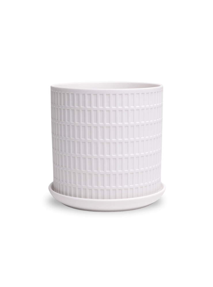 Virago 5" Porcelain Pot With Drainage Hole And Saucer - Chive Ceramics Studio - Pots - Chive Ceramics Studio