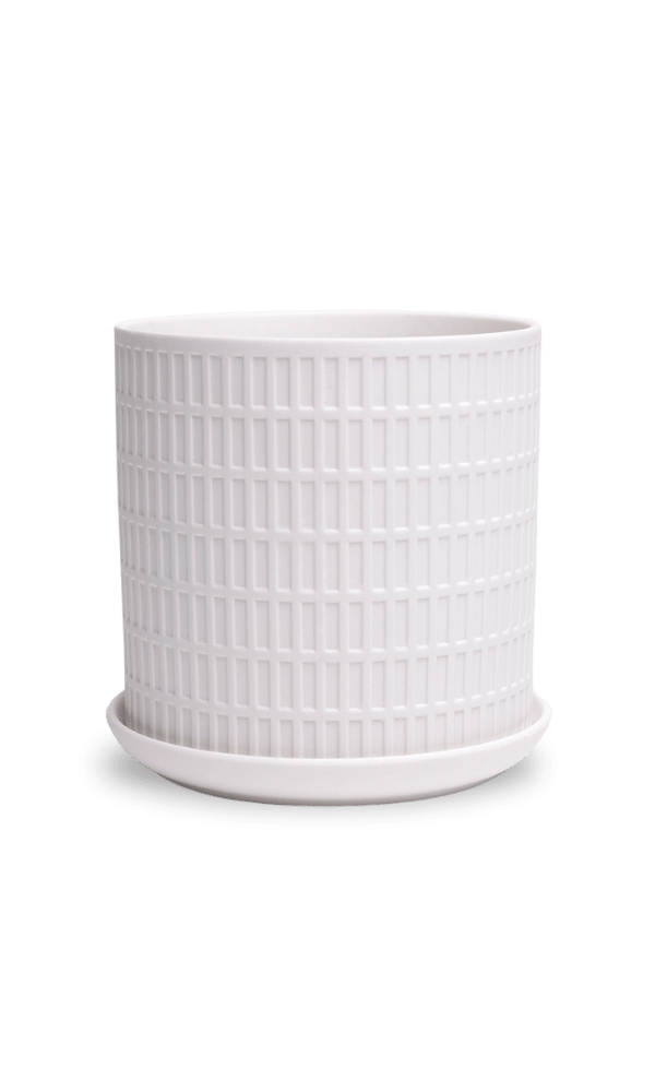 Virago 5" Porcelain Pot With Drainage Hole And Saucer - Chive Ceramics Studio - Pots - Chive Ceramics Studio