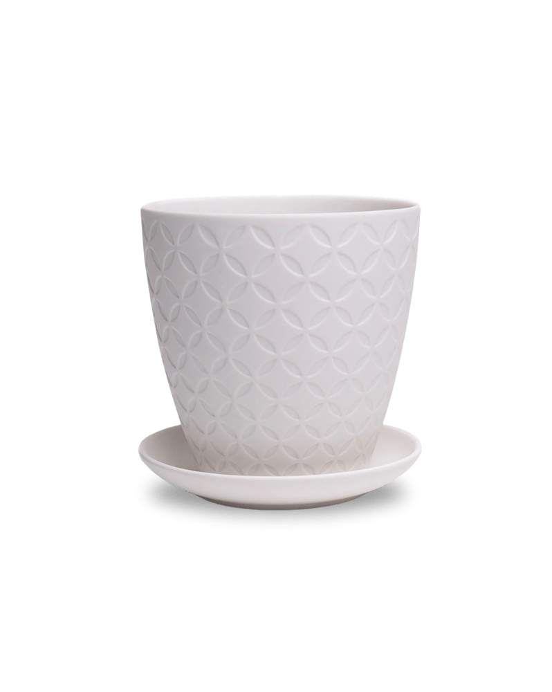 Virago 5" Porcelain Pot With Drainage Hole And Saucer - Chive Ceramics Studio - Pots - Chive Ceramics Studio