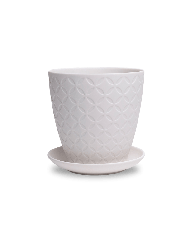 Virago 5" Porcelain Pot With Drainage Hole And Saucer - Chive Ceramics Studio - Pots - Chive Ceramics Studio