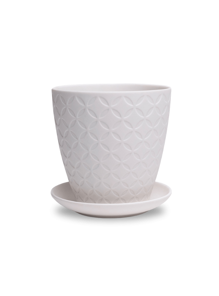 Virago 5" Porcelain Pot With Drainage Hole And Saucer - Chive Ceramics Studio - Pots - Chive Ceramics Studio