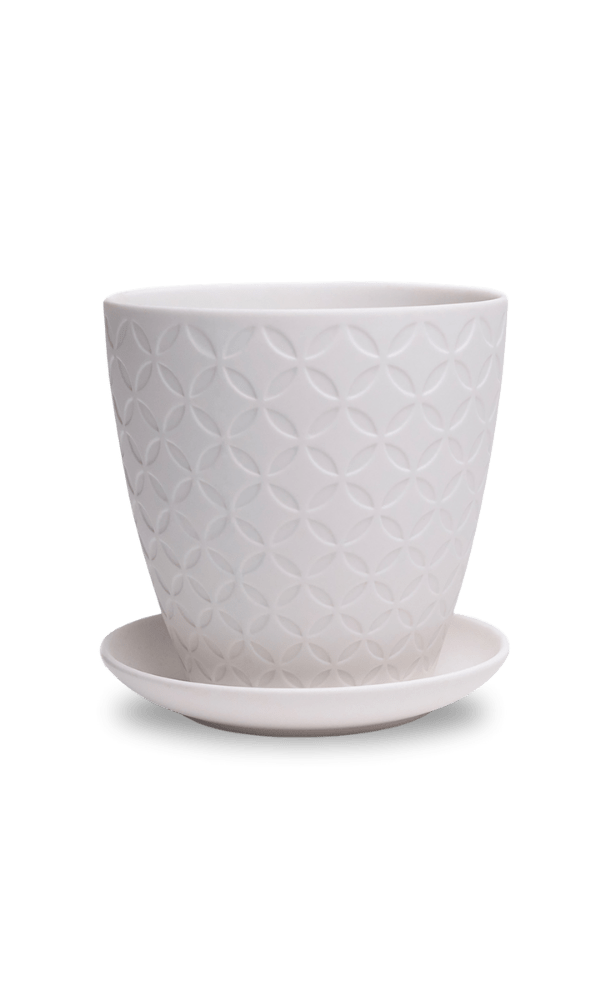 Virago 5" Porcelain Pot With Drainage Hole And Saucer - Chive Ceramics Studio - Pots - Chive Ceramics Studio