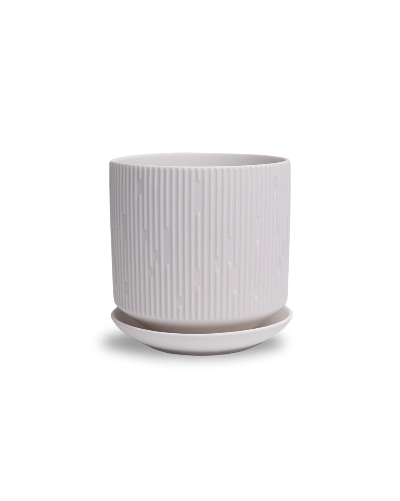 Virago 5" Porcelain Pot With Drainage Hole And Saucer - Chive Ceramics Studio - Pots - Chive Ceramics Studio