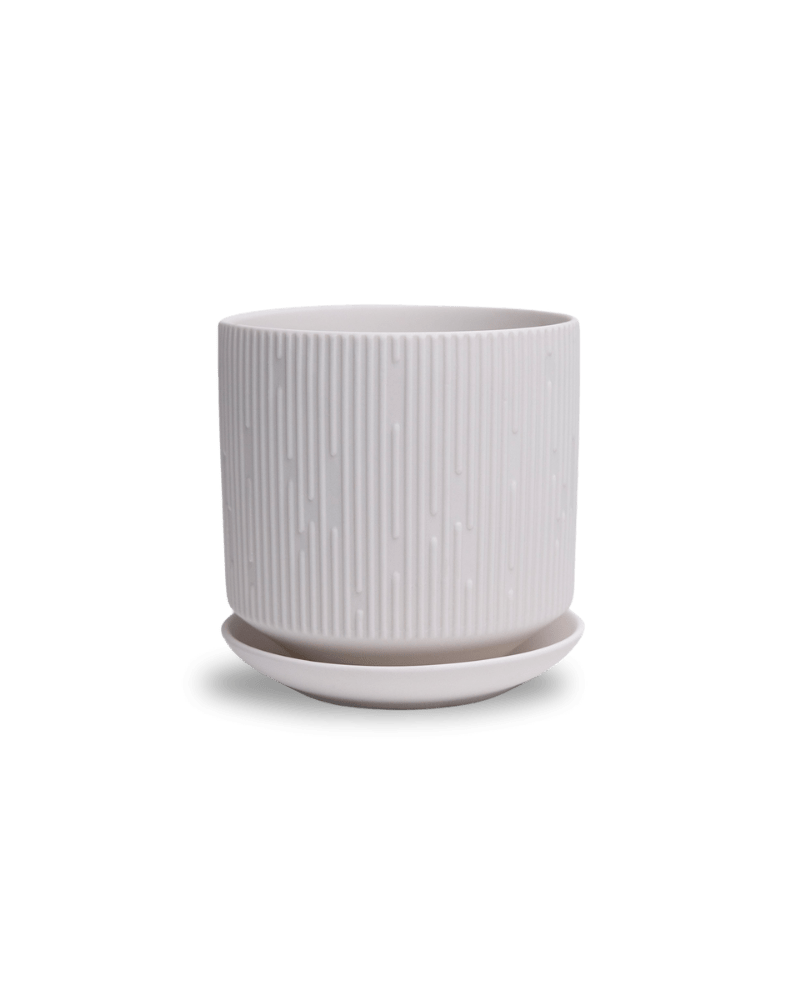 Virago 5" Porcelain Pot With Drainage Hole And Saucer - Chive Ceramics Studio - Pots - Chive Ceramics Studio