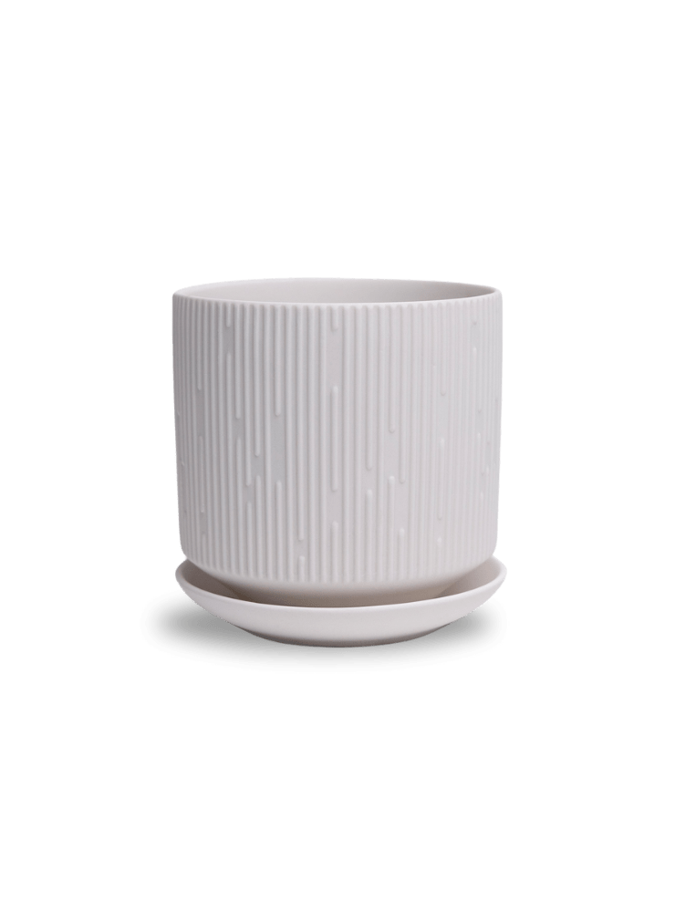 Virago 5" Porcelain Pot With Drainage Hole And Saucer - Chive Ceramics Studio - Pots - Chive Ceramics Studio