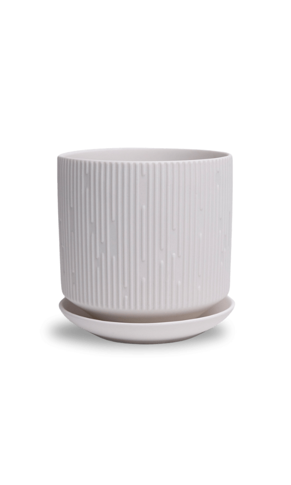 Virago 5" Porcelain Pot With Drainage Hole And Saucer - Chive Ceramics Studio - Pots - Chive Ceramics Studio