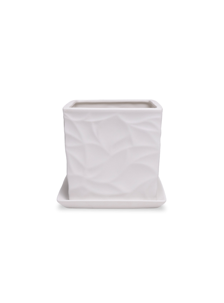 Virago 5" Porcelain Pot With Drainage Hole And Saucer - Chive Ceramics Studio - Pots - Chive Ceramics Studio