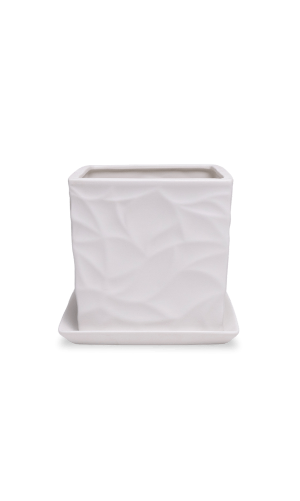 Virago 5" Porcelain Pot With Drainage Hole And Saucer - Chive Ceramics Studio - Pots - Chive Ceramics Studio