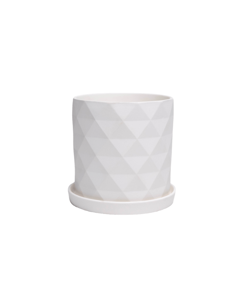 Virago 5" Porcelain Pot With Drainage Hole And Saucer - Chive Ceramics Studio - Pots - Chive Ceramics Studio