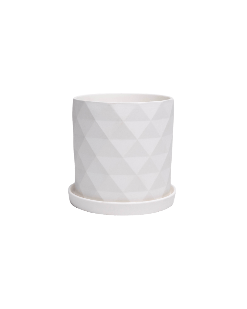 Virago 5" Porcelain Pot With Drainage Hole And Saucer - Chive Ceramics Studio - Pots - Chive Ceramics Studio