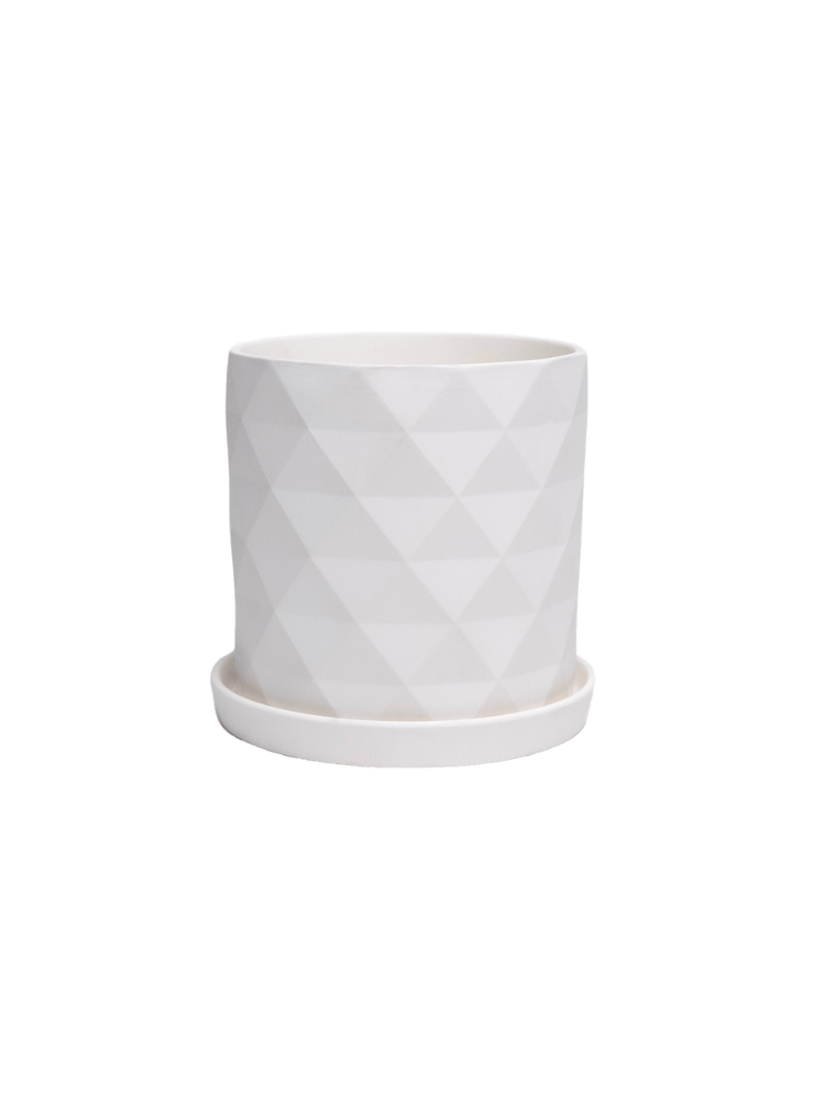 Virago 5" Porcelain Pot With Drainage Hole And Saucer - Chive Ceramics Studio - Pots - Chive Ceramics Studio