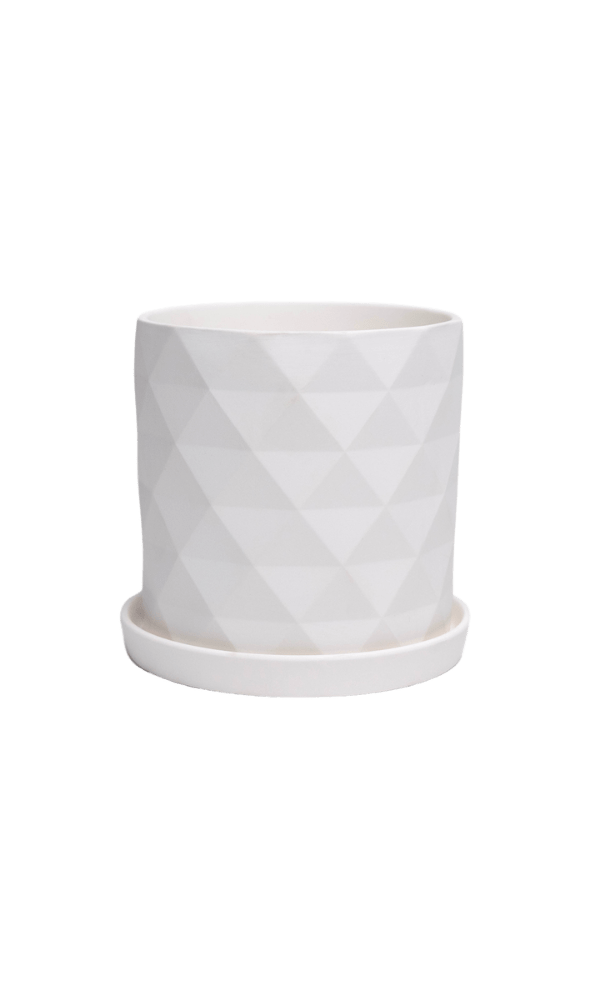 Virago 5" Porcelain Pot With Drainage Hole And Saucer - Chive Ceramics Studio - Pots - Chive Ceramics Studio