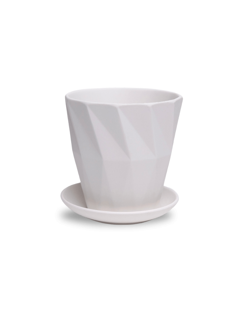 Virago 5" Porcelain Pot With Drainage Hole And Saucer - Chive Ceramics Studio - Pots - Chive Ceramics Studio