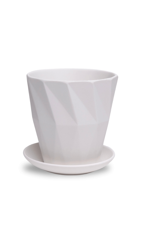 Virago 5" Porcelain Pot With Drainage Hole And Saucer - Chive Ceramics Studio - Pots - Chive Ceramics Studio