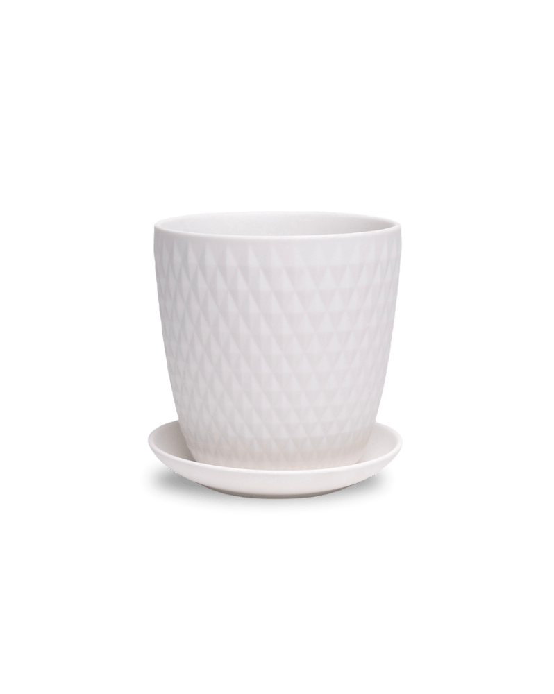 Virago 5" Porcelain Pot With Drainage Hole And Saucer - Chive Ceramics Studio - Pots - Chive Ceramics Studio