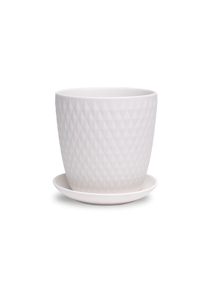 Virago 5" Porcelain Pot With Drainage Hole And Saucer - Chive Ceramics Studio - Pots - Chive Ceramics Studio