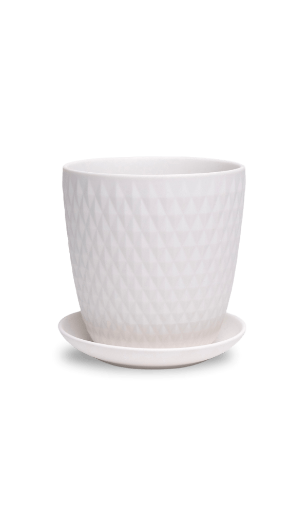 Virago 5" Porcelain Pot With Drainage Hole And Saucer - Chive Ceramics Studio - Pots - Chive Ceramics Studio