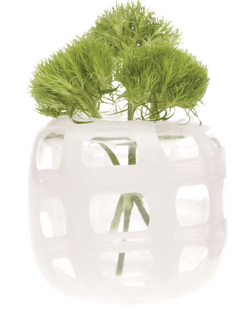 Black & White Glass Modern Flower Vase - Chive Ceramics Studio - Vases - Chive Ceramics Studio