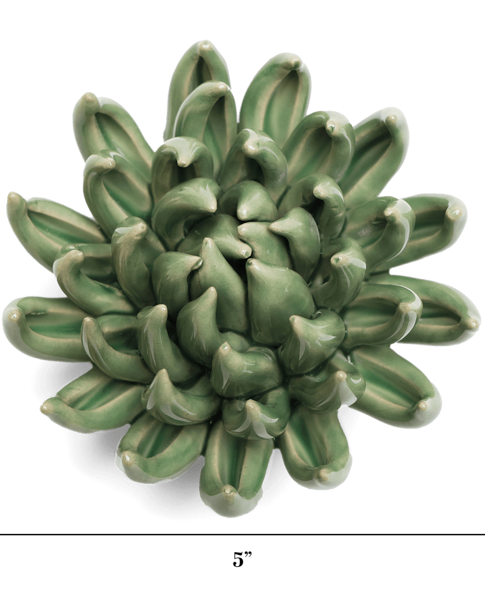 EG14 Jade Green Succulent - Chive US Wholesale