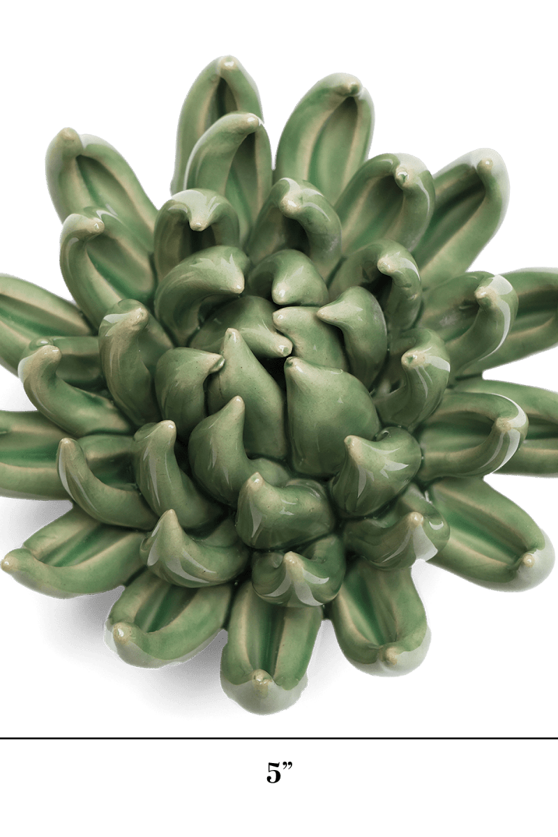 EG14 Jade Green Succulent - Chive US Wholesale