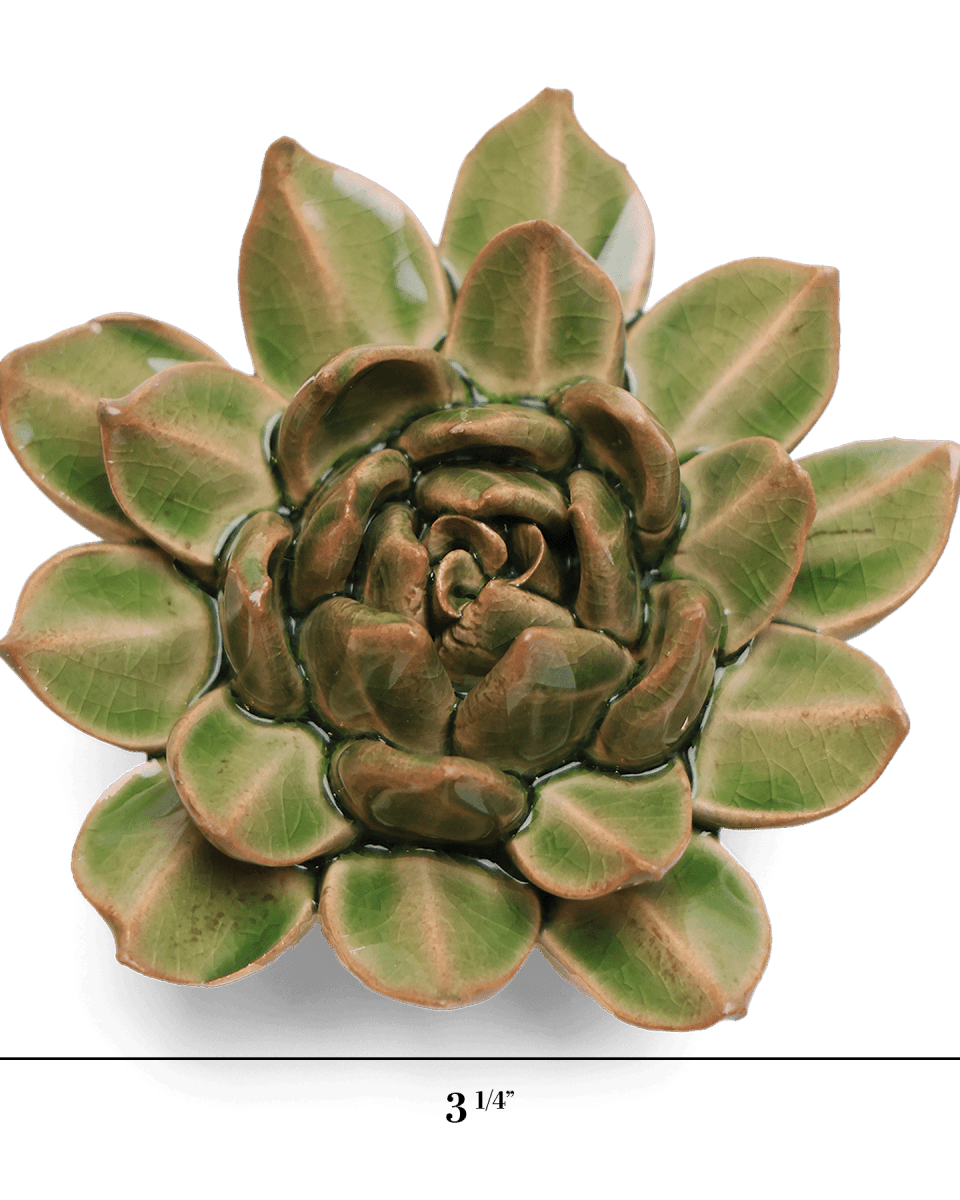 EG12 Avocado Green Firecracker Succulent - Chive US Wholesale