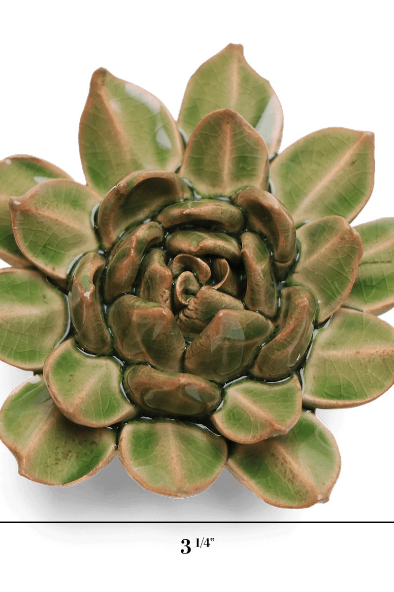 Avocado Green Firecracker Succulent ceramic wall flower - English Garden collection - handmade by Chive Studio Toronto