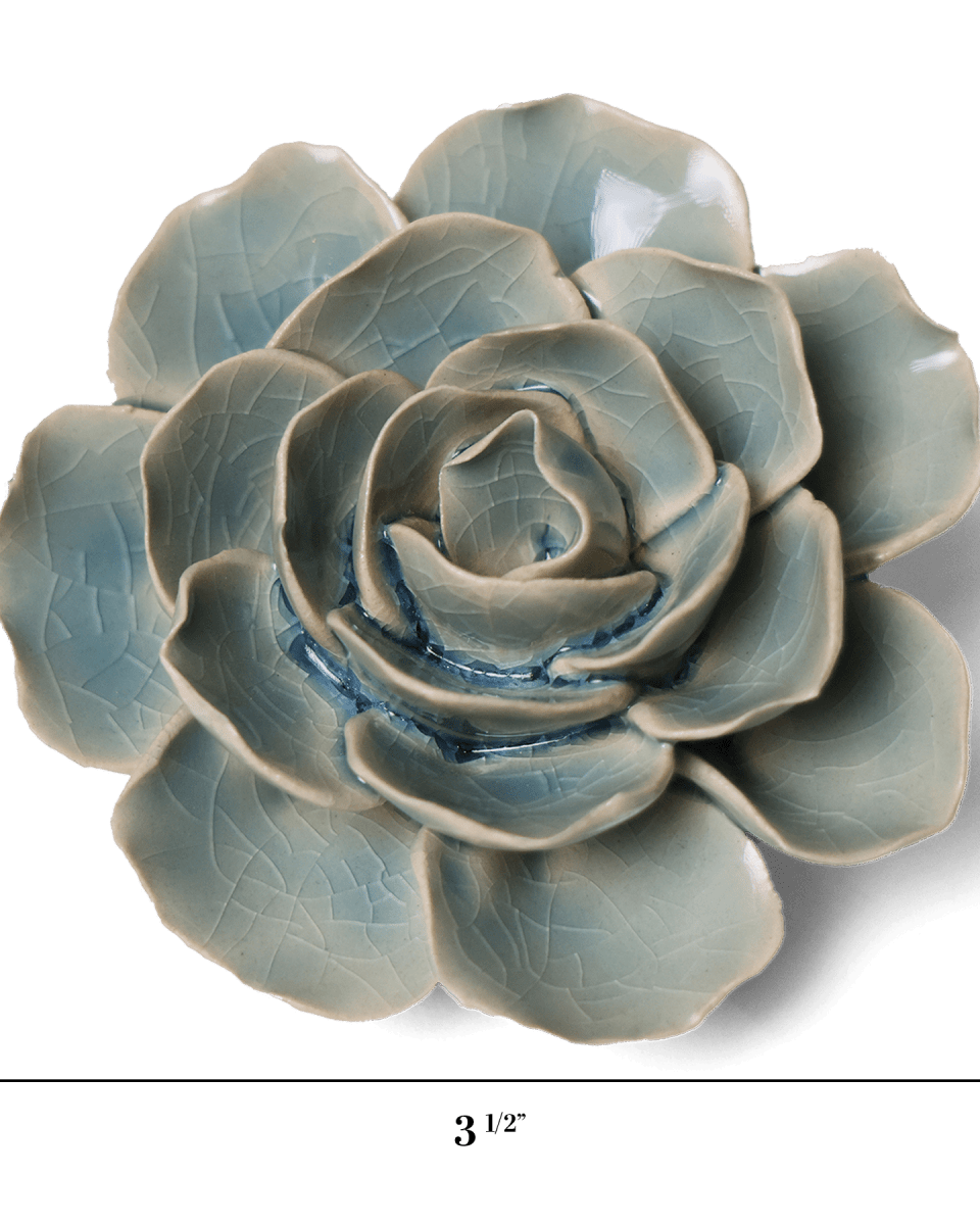 EG04 Powder Blue Amandine Ranunculus - Chive US Wholesale