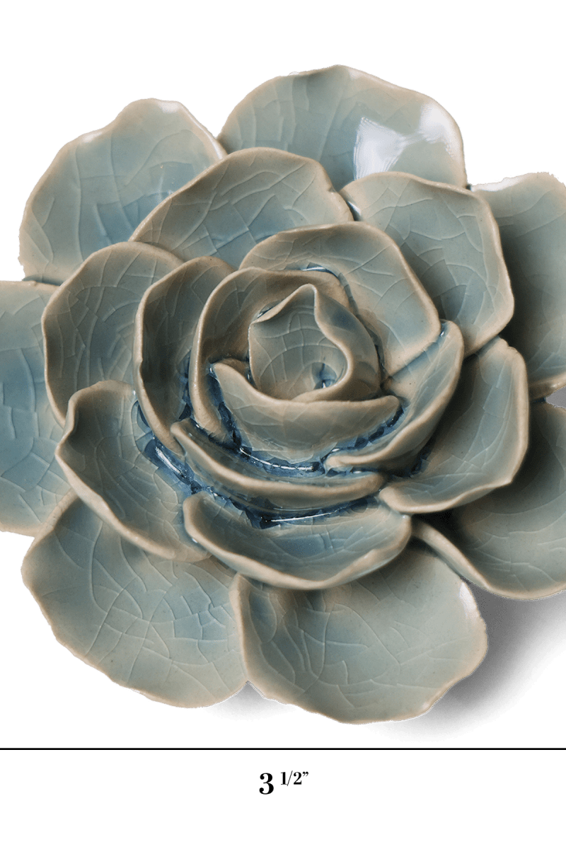 EG04 Powder Blue Amandine Ranunculus - Chive US Wholesale