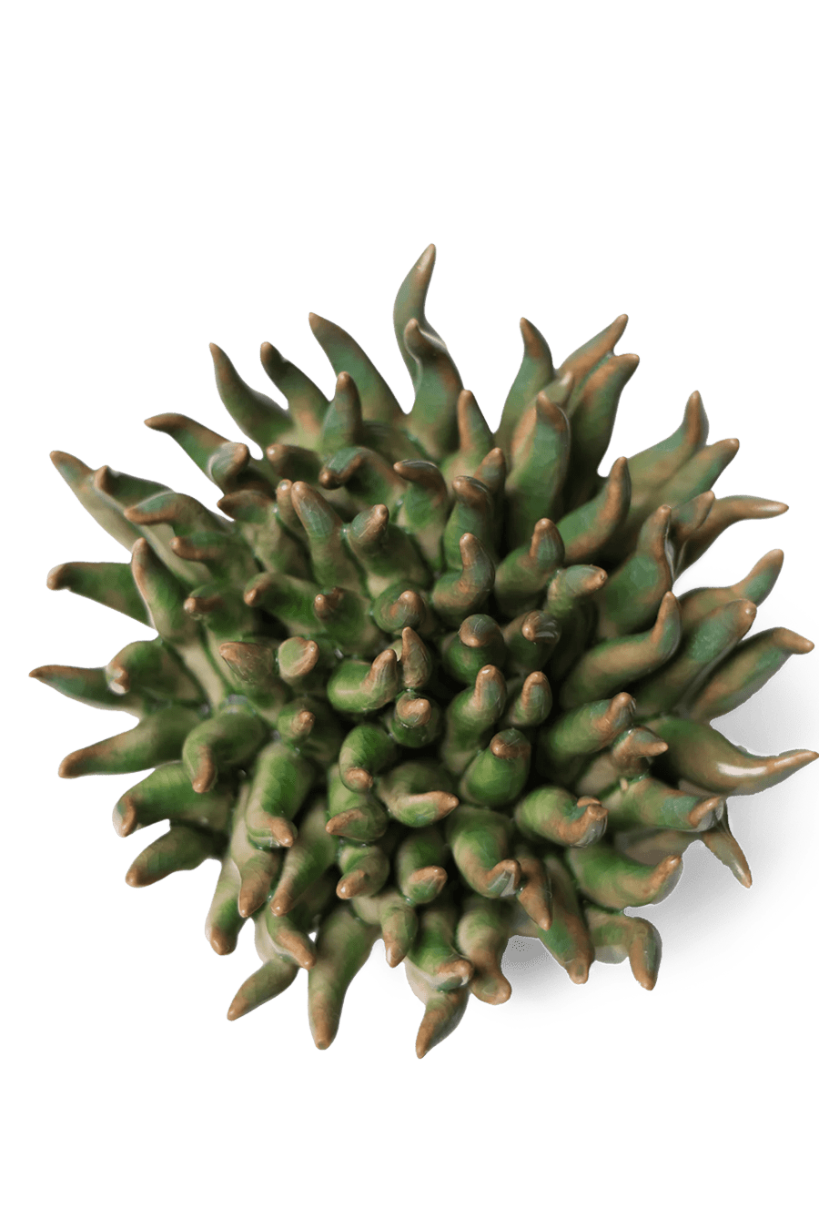 Ceramic Flower Mondo Green 4 - Chive Ceramics Studio - Ceramic Flowers - Chive Wholesale