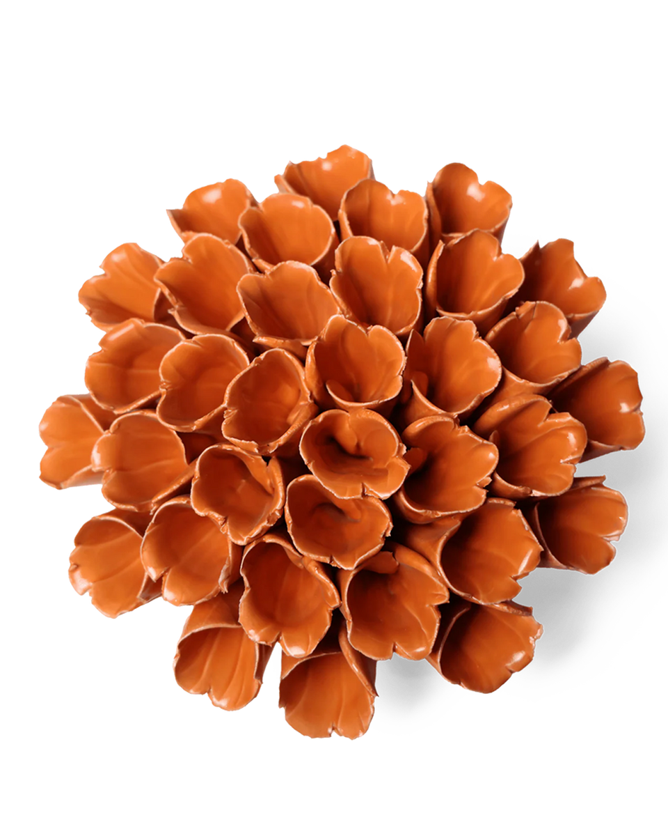 C5F230-1.png?crop=center&