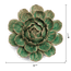 Mofo Mint Peony ceramic wall flower — Classic Collection — Designed by Chive Studio Toronto