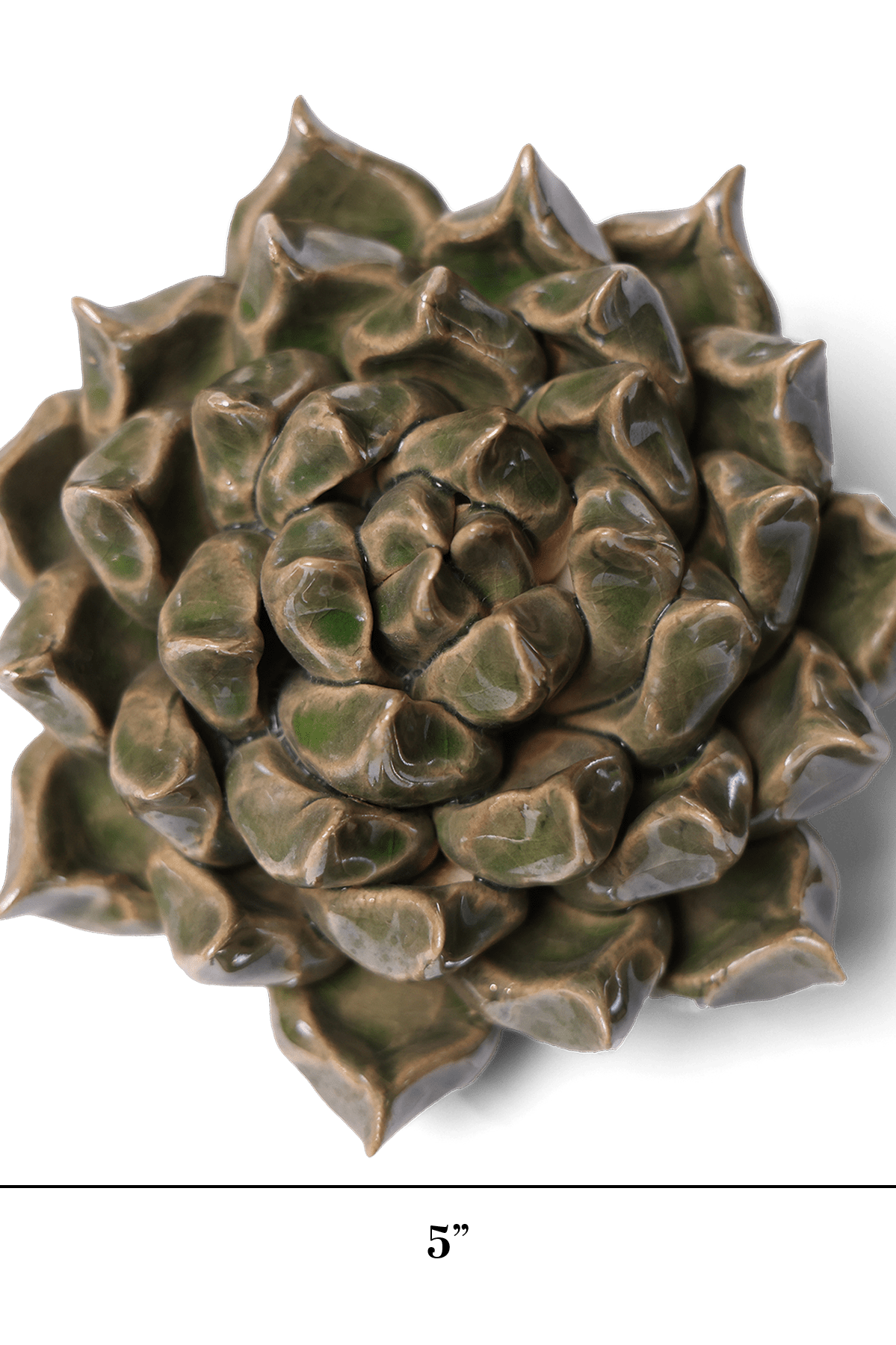 Succulent Green 6 ceramic wall flower — Classic Collection — handmade by Chive Studio Toronto
