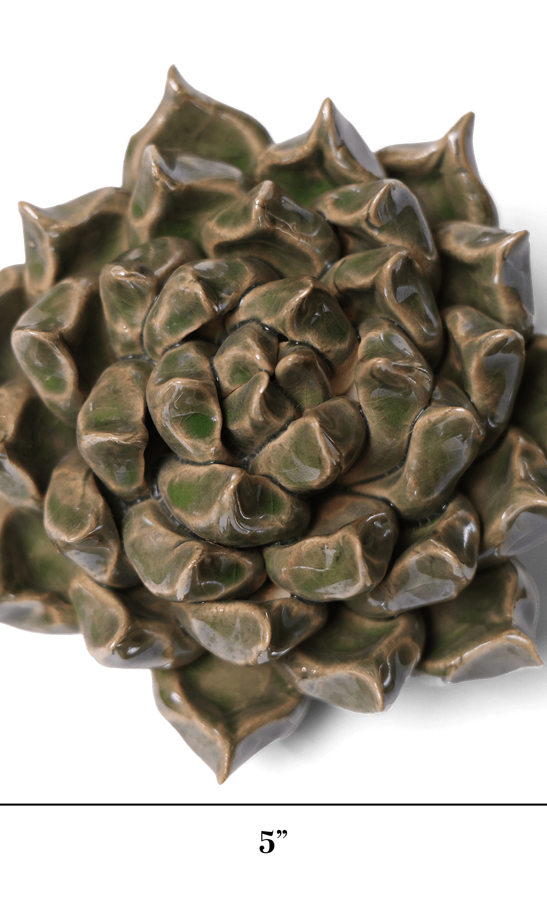 Succulent Green 6 ceramic wall flower — Classic Collection — handmade by Chive Studio Toronto