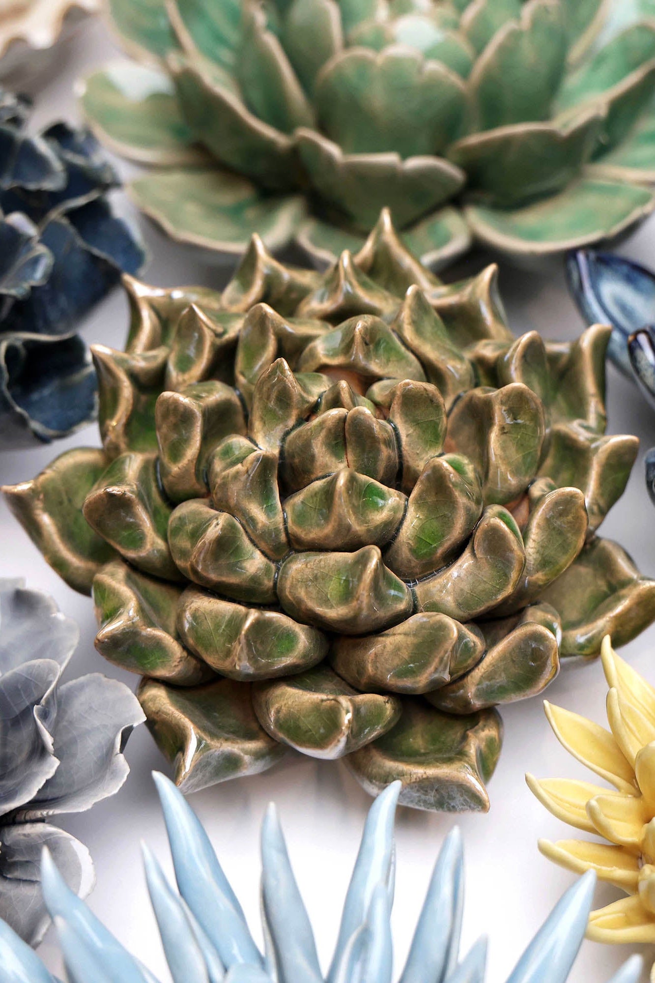Succulent Green 6 ceramic wall flower styled on wall — Classic Collection — Chive Studio Toronto