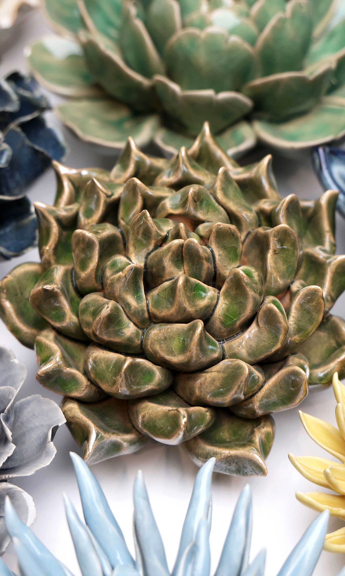 Succulent Green 6 ceramic wall flower styled on wall — Classic Collection — Chive Studio Toronto