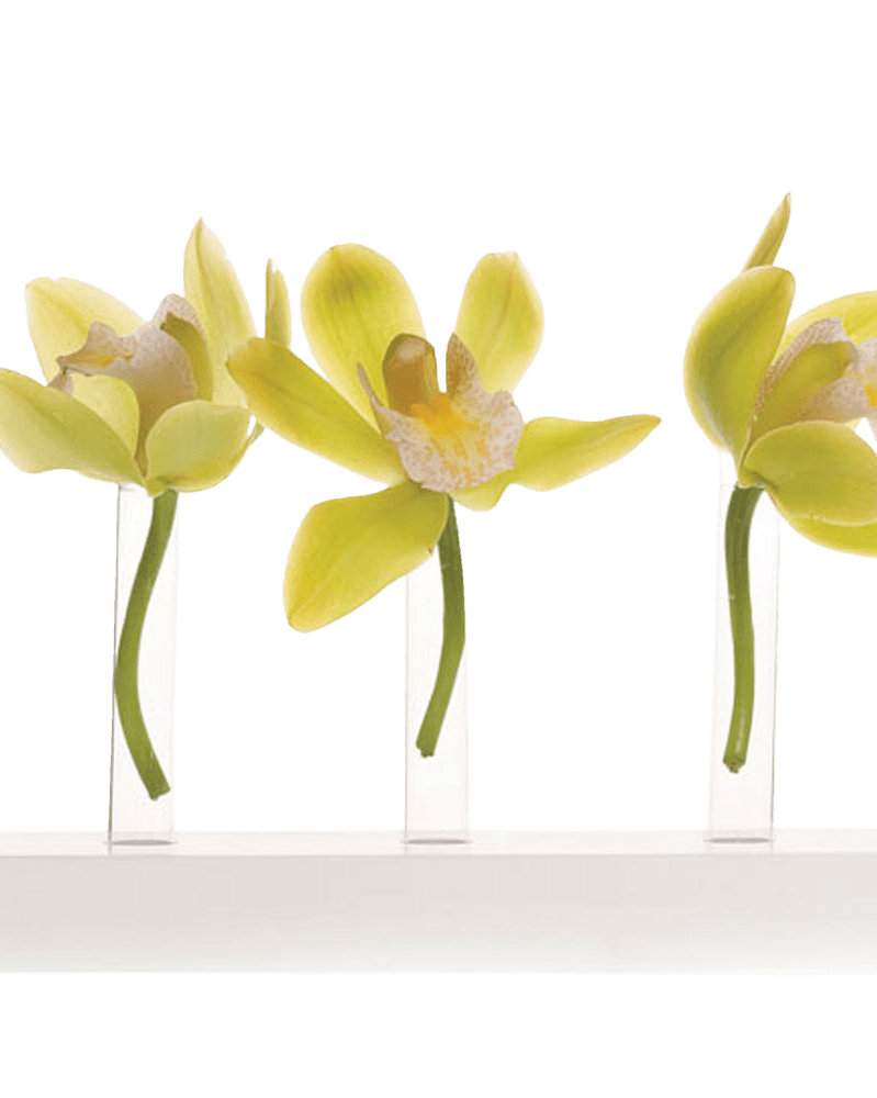 Calla Test Tube Flower Vase - Chive Ceramics Studio - Vases - Chive US