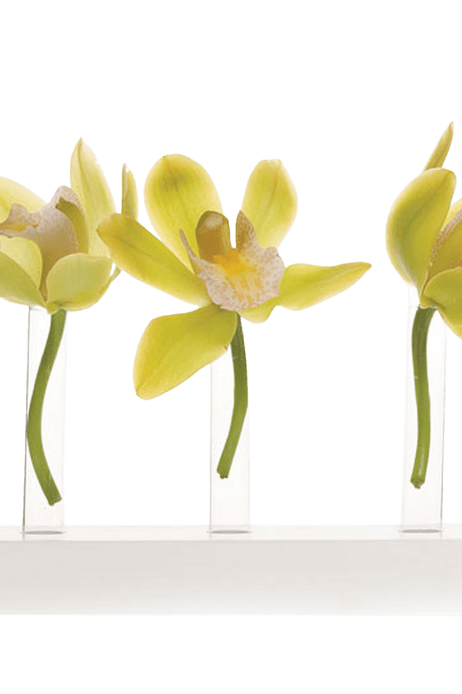 Calla Test Tube Flower Vase - Chive Ceramics Studio - Vases - Chive US